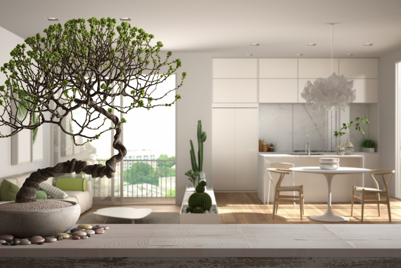 3D vizualizácia 3D vizualizácia